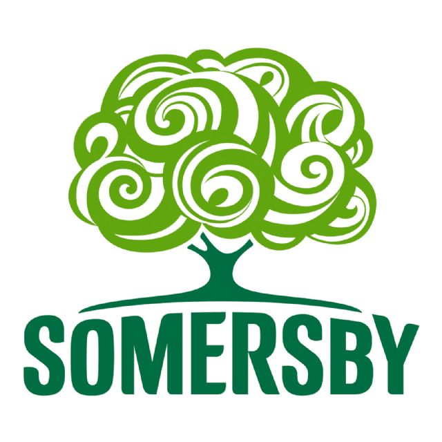 SOMERSBY CIDER 20LT BREWLOCK KEG Casa Julia